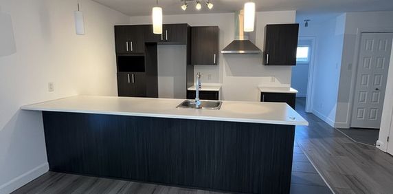 5 1/2 à Saint-Apollinaire - Photo 2