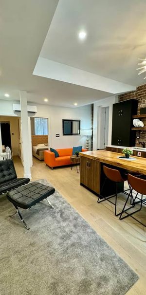 Plateau/Downtown - 3 Bedrooms Furnished - Photo 1