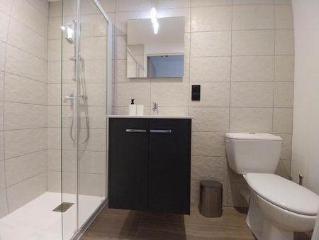 Location Appartement 1 pièce 18m² ORLEANS 45000 - Photo 4