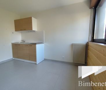 Appartement à louer, 1 pièce - Orléans 45000 - Photo 2