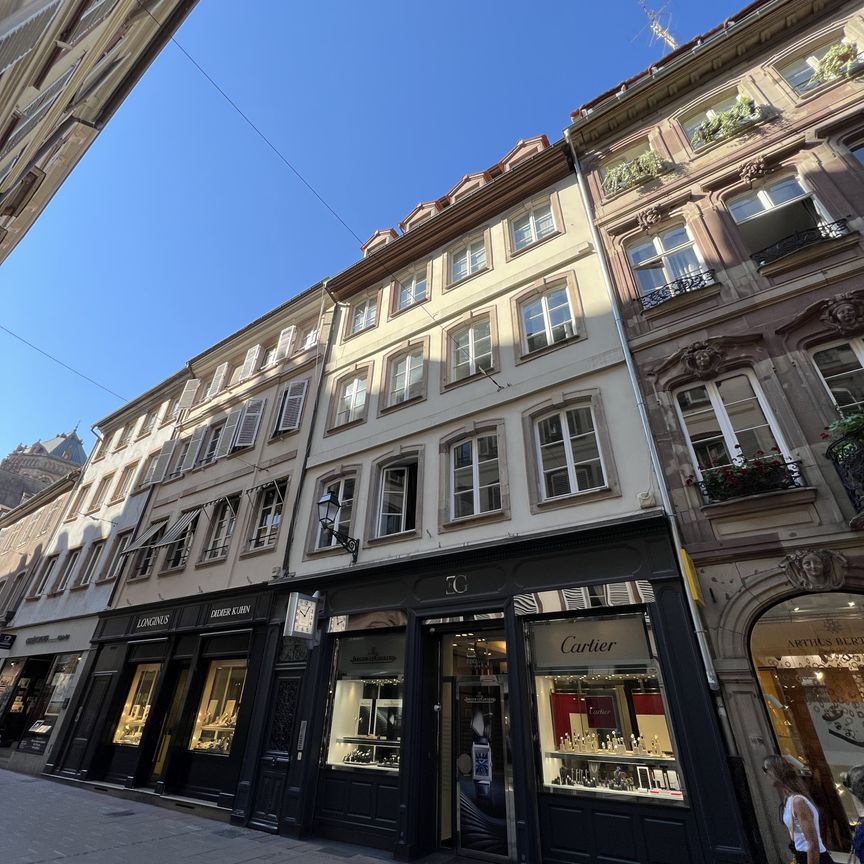 Location Appartement 3 pièces 76m² STRASBOURG 67000 - Photo 1