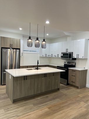 For Lease - 1304 Bush Hill Link Line Unit# BASEMENT, London North, Ontario - Photo 1