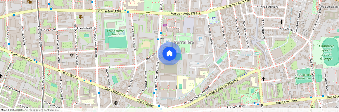 75 Rue du 1er Mars 1943, 69100, Villeurbanne