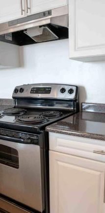 2 CH - 1 SDB - St-Laurent - $1,495 /mo - Photo 1