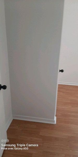 4.5 Ss-sol 3plex 2 Chambres (13×10 +8×8) Libre 27 oct Magnifique 4.5 au rez de jardin rénové, dans 3plex au coeur du Vieux-Longueuil, Hauts Pl - Photo 1