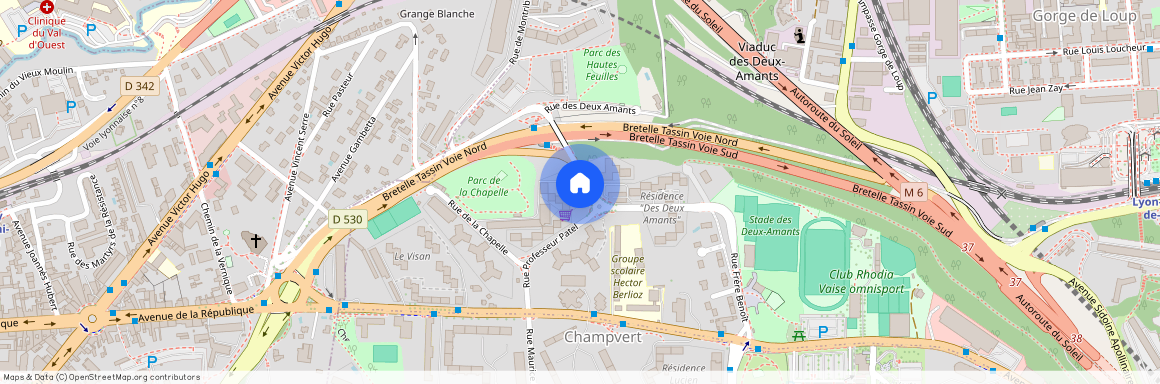 33 Rue Professeur Patel, 69009 Lyon, France