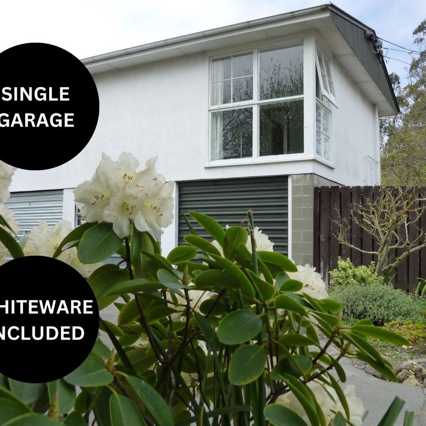 Unit 1, 225 Edgeware Road, Edgeware, Christchurch - Photo 1