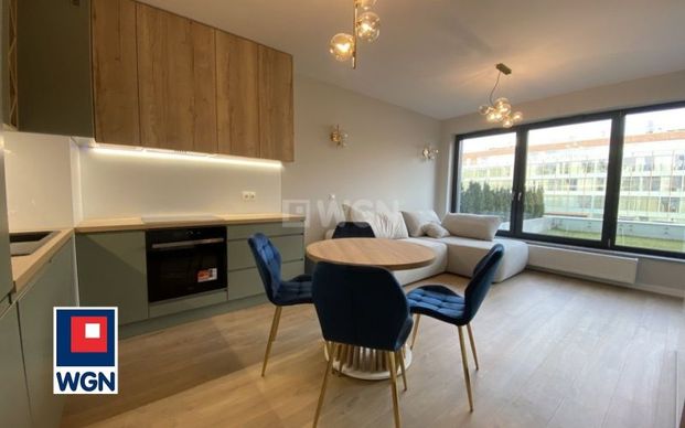 Mieszkanie na wynajem Szczecin - Crocus Hill 2 pokoje z ogródkiem - Photo 1