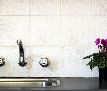 Unit 30, 9 Ward Avenue, Potts Point, NSW - Photo 4