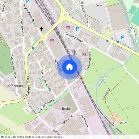 8620, Wetzikon, Hofstrasse, 61