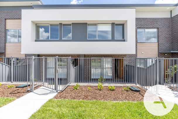 14/10 Ellison Harvie Cl, Greenway ACT 2900 - Townhouse For Rent | Domain - Photo 1