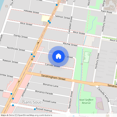 21 Robert St, NSW 2219, Sans Souci