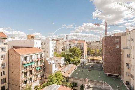 Madrid Capital, Community of Madrid 28001 - Photo 2