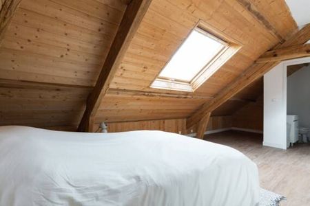 🌟 Très belle colocation dans grande maison - PONT DU CENS🌟 - Photo 5