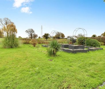 3 bedroom detached house to rent - Photo 3