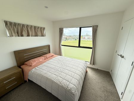 17 Barneys Farm Road, Clendon Park - Photo 3