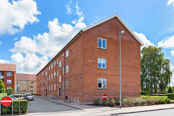 Afd. 5 Pilevang - Foto 1