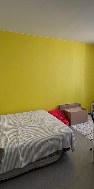 Location Appartement 1 pièce 27m² TOULOUSE 31400 - Photo 1