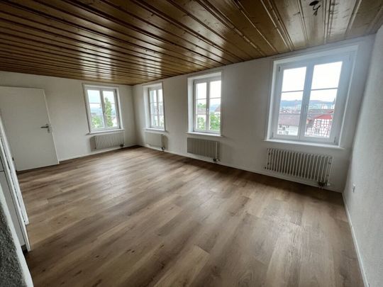 Erster Mietzins geschenkt: Neu sanierte 2.5-Zimmerwohnung zu vermieten - Foto 1