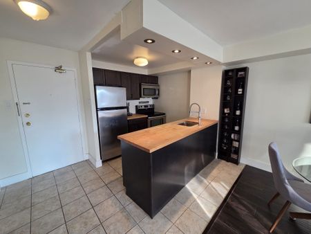 For Lease - 117 Gerrard Street Unit# 1111, Toronto, Ontario - Photo 3