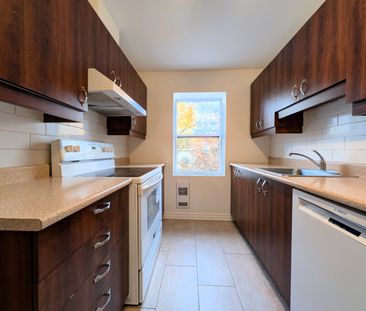 Rue Jeanne-Mance, H2X 2J8, Montréal - Photo 6