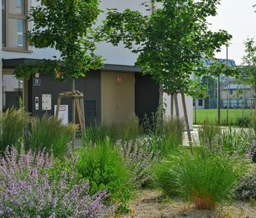 Moderne 2 Zi Wohnung mit Balkon - JETZT 1 Monat mietzinsfreie Zeit!... - Photo 4