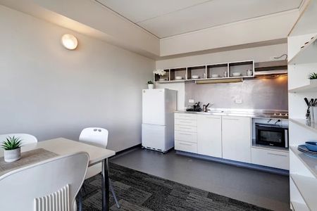 8 Mount Street, Grafton, Auckland - Photo 5