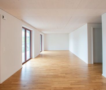 La vie moderne dans le Stadtsägi - Photo 3