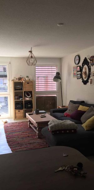 1.5 room studio for rent in the city center of Orbe - Photo 1