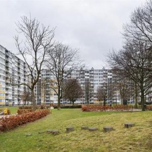 Pahud de Mortangesdreef 3562 AA Utrecht - Photo 2