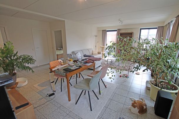 Appartement - Photo 1