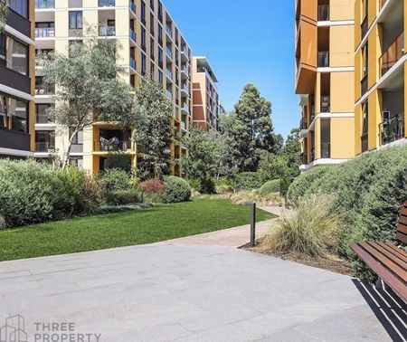 520/21-37 Waitara Avenue, Waitara NSW 2077 - Apartment For Rent | Domain - Photo 5