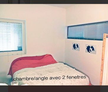 1 Zimmer, 80 m² - Foto 3