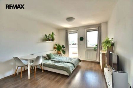 Pronájem ateliéru 1+0, Třebeš, Hradec Králové. - Photo 5