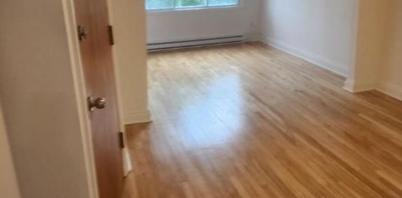 3 1/2 - Montréal (Mercier) - 1 250 $/mois - Photo 2