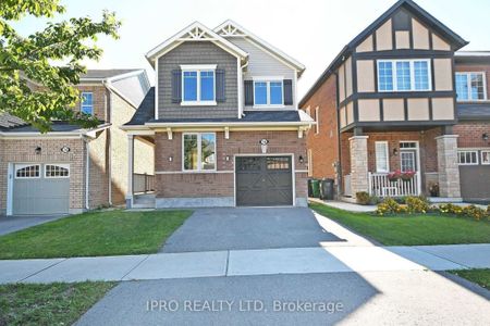 For Lease - 16 Stedford Crescent Unit# Bsmt, Brampton, Ontario - Photo 3