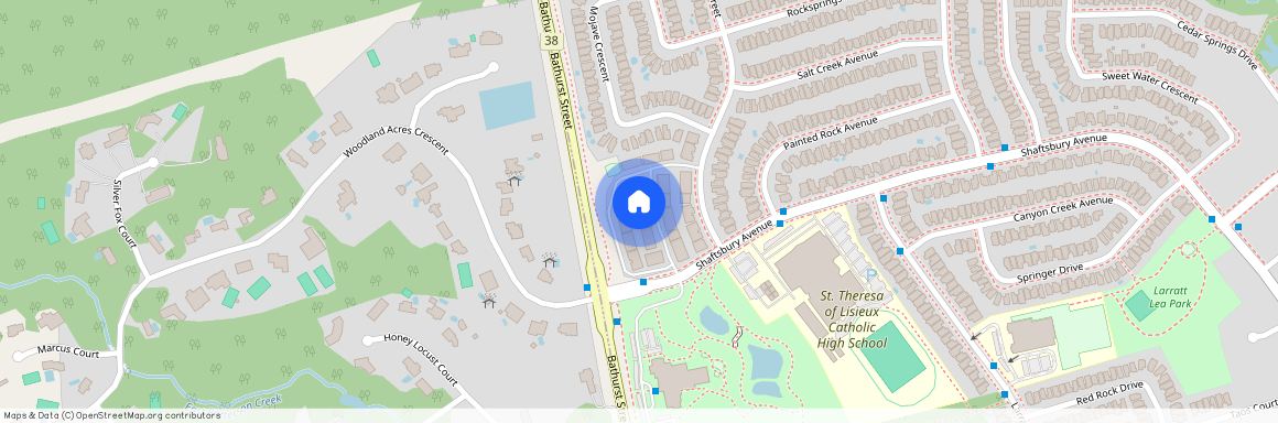 255 Shaftsbury Avenue, Richmond Hill