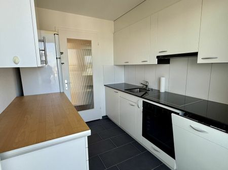 MOUNTAIN VIEW IN A CENTRAL LOCATION - Photo 4