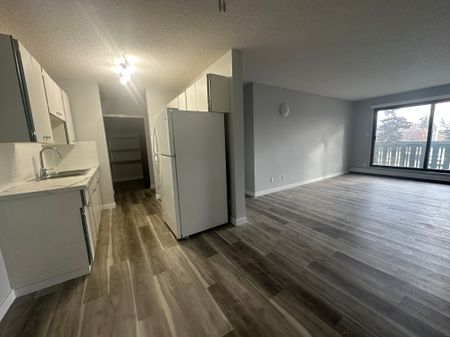 Small Pet Friendly Spacious 3-Bedroom Apartment - Photo 2