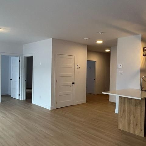 430 Boul. du Bord de l'Eau - Photo 1