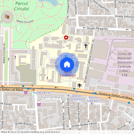 Stefan cel Mare, Bucuresti