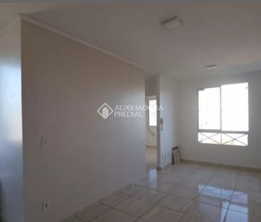 Apartamento com 3 quartos e 54m² para alugar em Fátima, Canoas. - Photo 4