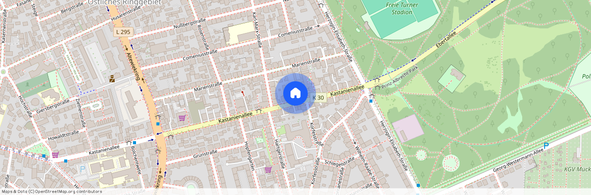 Kastanienallee 37, 38104 Niedersachsen - Braunschweig