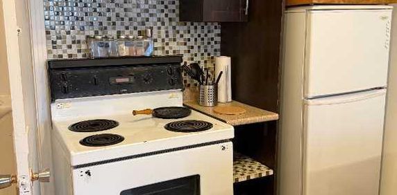 Appartement Studio 100% meublé et rénové - Photo 2