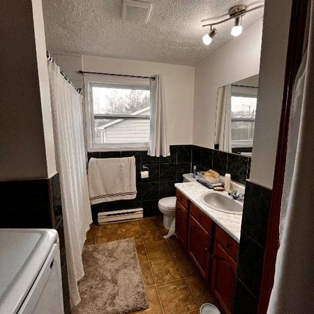 5 1/2 à louer janvier 2026, 1230$/mois - Photo 3