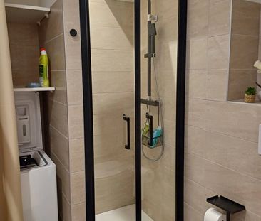 Location Appartement 1 pièce 26m² LE CANNET 06110 - Photo 6