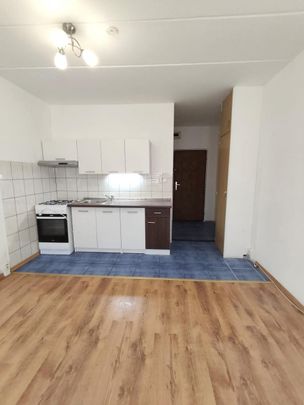 Pronájem bytu 1+1, ul. Vinařická Jirkov - Photo 1