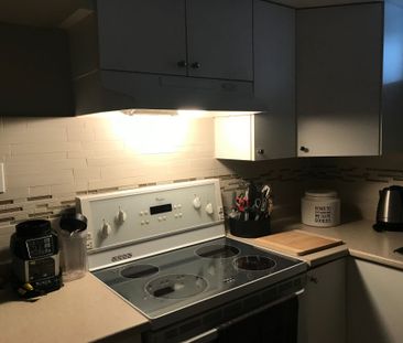 For Lease - 66 Murellen Crescent Unit# Basement, Toronto, Ontario - Photo 2