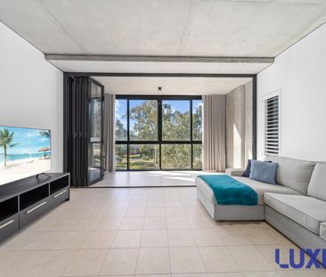 217/17 The Causeway, Kingston ACT 2604 - Apartment For Rent | Domain - Photo 3