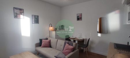 IDEALEMENT SITUE, F1 BIS NEUF MEUBLE - Photo 3